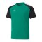 PUMA teamPACER Trikot Kids Grün Schwarz F05 - gruen