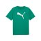 PUMA teamRISE Logo Trainingshirt Grün F05 - gruen