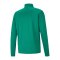 PUMA teamRISE Poly Trainingsjacke Grün F05 - gruen