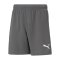 PUMA teamRISE Short Grau Weiss F13 - grau