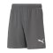 PUMA teamRISE Short Kids Grau Weiss F13 - grau