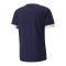 PUMA teamRISE Trikot Blau F06 - blau