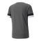 PUMA teamRISE Trikot Grau F13 - grau