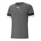 PUMA teamRISE Trikot Grau F13 - grau