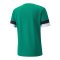 PUMA teamRISE Trikot Grün F05 - gruen
