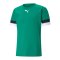 PUMA teamRISE Trikot Grün F05 - gruen