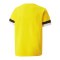 PUMA teamRISE Trikot Kids Gelb F07 - gelb