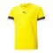 PUMA teamRISE Trikot Kids Gelb F07 - gelb