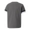 PUMA teamRISE Trikot Kids Grau F13 - grau