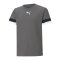 PUMA teamRISE Trikot Kids Grau F13 - grau