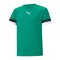 PUMA teamRISE Trikot Kids Grün F05 - gruen