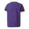 PUMA teamRISE Trikot Kids Lila F10 - lila