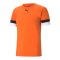 PUMA teamRISE Trikot Orange F08 - orange