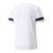 PUMA teamRISE Trikot Weiss F04 - weiss