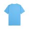 PUMA teamULTIMATE Trikot Blau F18 - blau