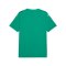PUMA teamULTIMATE Trikot Grün F05 - gruen