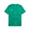 PUMA teamULTIMATE Trikot Grün F05 - gruen