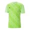 PUMA teamULTIMATE Trikot Grün F20 - gruen