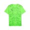 PUMA teamULTIMATE Trikot Grün F20 - gruen