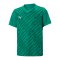 PUMA teamULTIMATE Trikot Kids Grün F05 - gruen