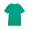 PUMA teamULTIMATE Trikot Kids Grün F05 - gruen