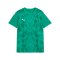 PUMA teamULTIMATE Trikot Kids Grün F05 - gruen