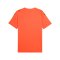 PUMA Trikot Orange F38 - orange