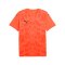 PUMA Trikot Orange F38 - orange