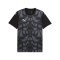 PUMA teamULTIMATE Trikot Schwarz F03 - schwarz