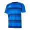 PUMA teamVISION Trikot Blau F02 - blau