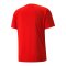 PUMA teamVISION Trikot Rot F01 - rot