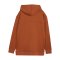 PUMA Train Cloudspun Kapuzenjacke Damen Braun F81 - braun