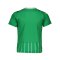 PUMA Trikot Grün F01 - gruen