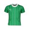PUMA Trikot Grün F01 - gruen