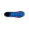 PUMA ULTRA 6 Match FG/AG Untamed Blau F01 - blau