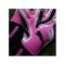 PUMA ULTRA Ultimate Hybrid TW-Handschuhe Phenomenal Pink F08 - pink