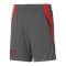 PUMA X BATMAN Short Kids Grau F04 - grau