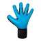 Reusch Attrakt Freegel Aqua Torwarthandschuhe Schwarz - schwarz