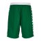 Spalding Essential Reversible Short Kids Grün F04 - schwarz