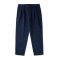 Stan Ray Twill Double Pleat Chino Blau - blau