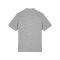 Stanley & Stella Prepster 2.0 Heather Grey FC250 - grau