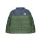 The North Face 1996 Retro Jacke Grün - gruen