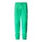 The North Face Essentials Jogginghose Grün - gruen