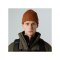 The North Face Fisherman Beanie Braun - braun