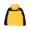 The North Face Hmlyn Down Parka Gelb - gelb