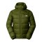 The North Face Hydrenalite Down Winterjacke Grün - gruen