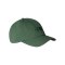 The North Face Norm Cap Grün - gruen
