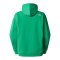 The North Face NSE Shell Jacke Grün FPO8 - gruen