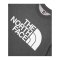 The North Face Standard Crew Sweatshirt Grau - grau