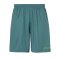 uhlsport Center Basic Short ohne Slip Kids F17 - Gruen